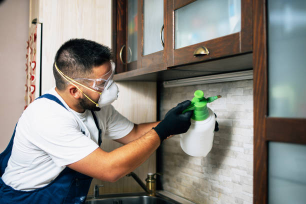 Best Ant Control Services  in Oberlin, OH