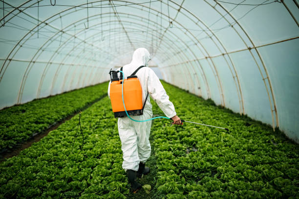 Best Pest Removal Services  in Oberlin, OH