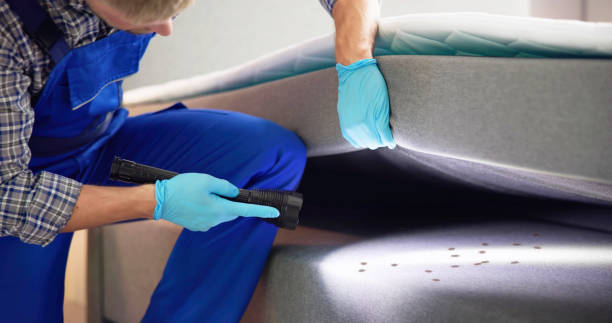 Best Rat Extermination Near Me  in Oberlin, OH