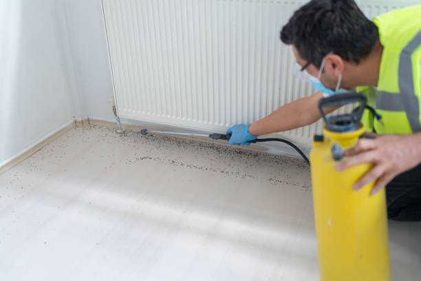 Best Cockroach Control Services  in Oberlin, OH